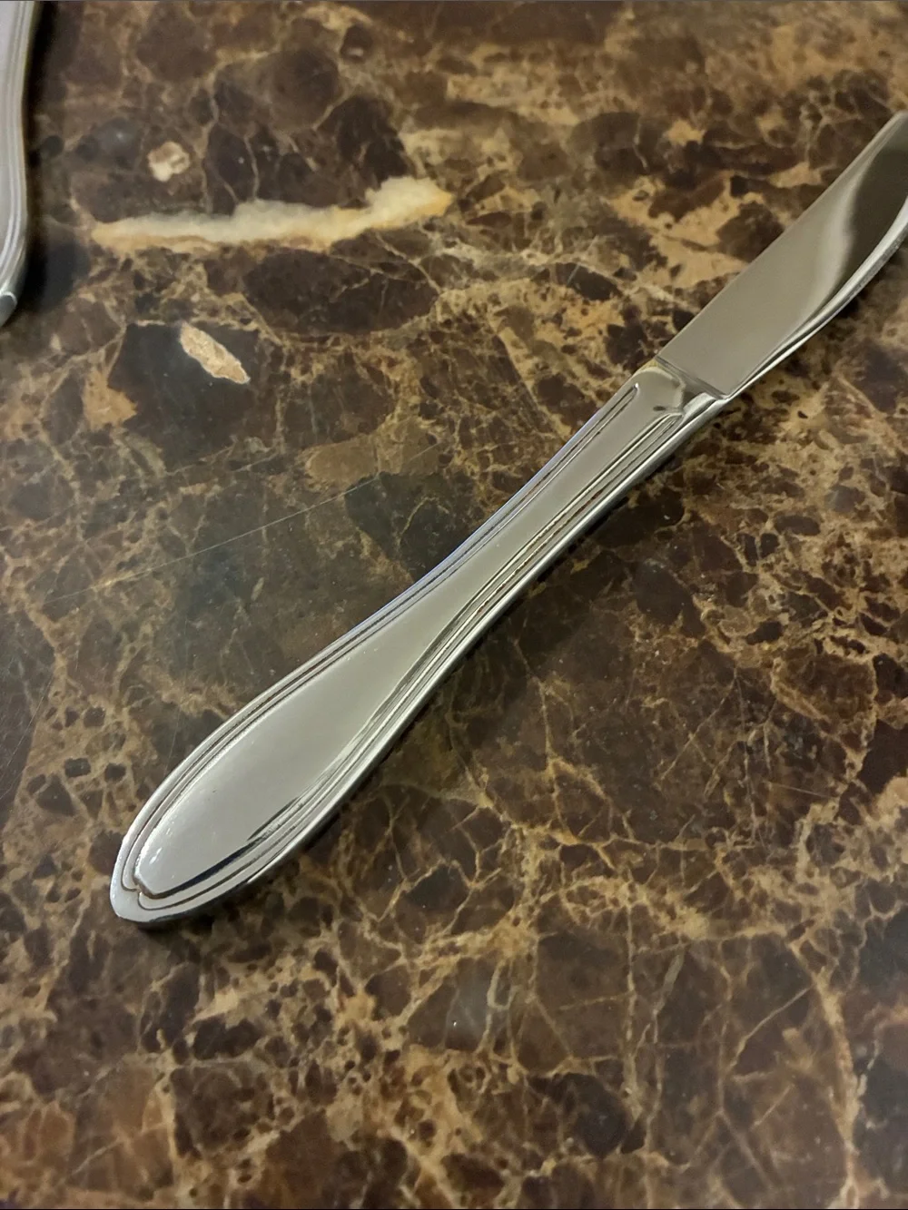 Royal Prestige Glossy Stainless Steel Soup Spoon and Dinner Knife Set